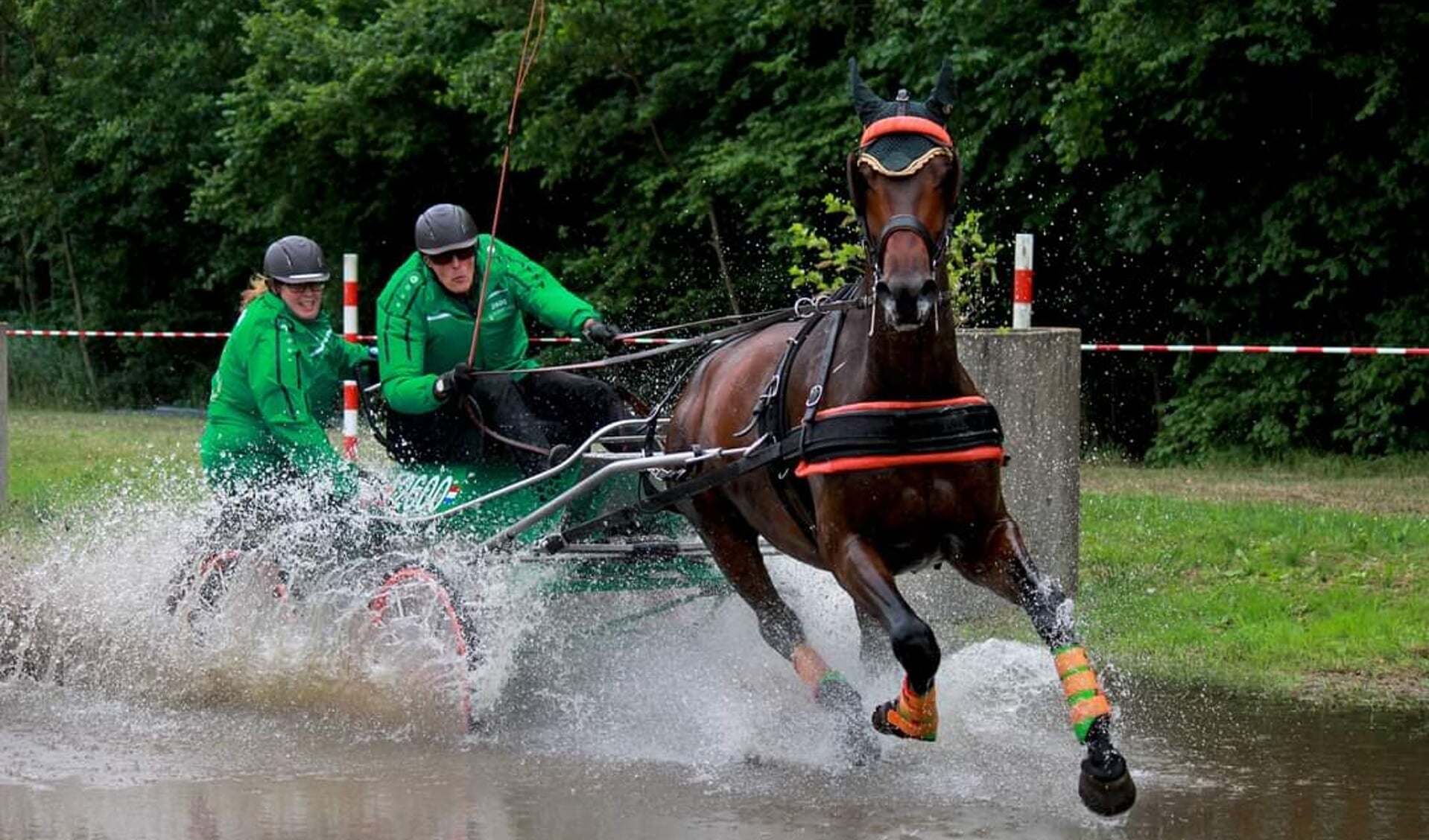 Arie Dibbits in actie