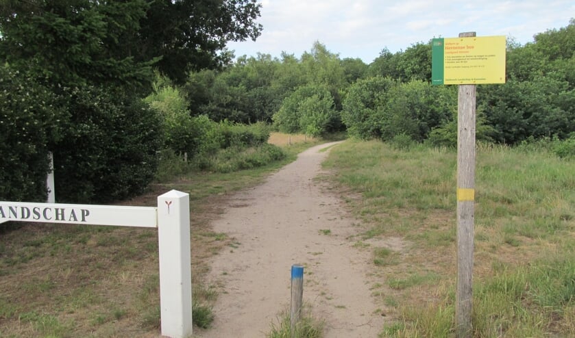 wandelen in Hernense bos