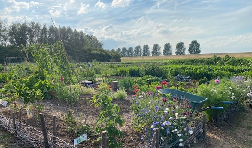 <p>Dorpsmoestuin West Maas en Waal.</p>