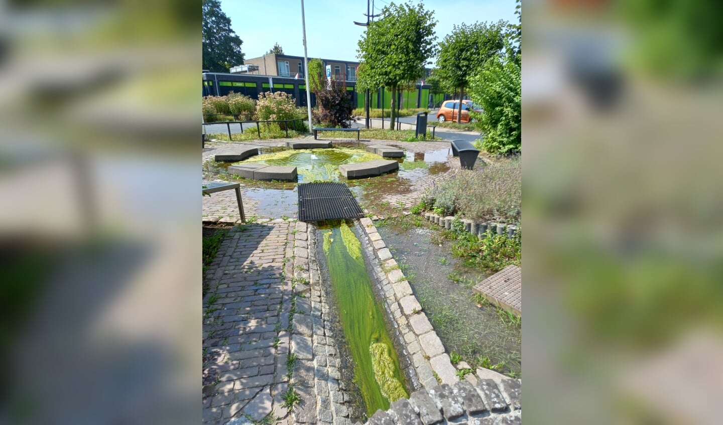 Door overmatige algenvorming treedt de waterpartij voor het gemeentehuis van Druten buiten de 
