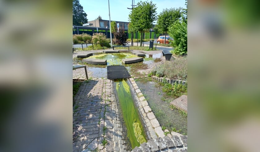 Door overmatige algenvorming treedt de waterpartij voor het gemeentehuis van Druten buiten de
