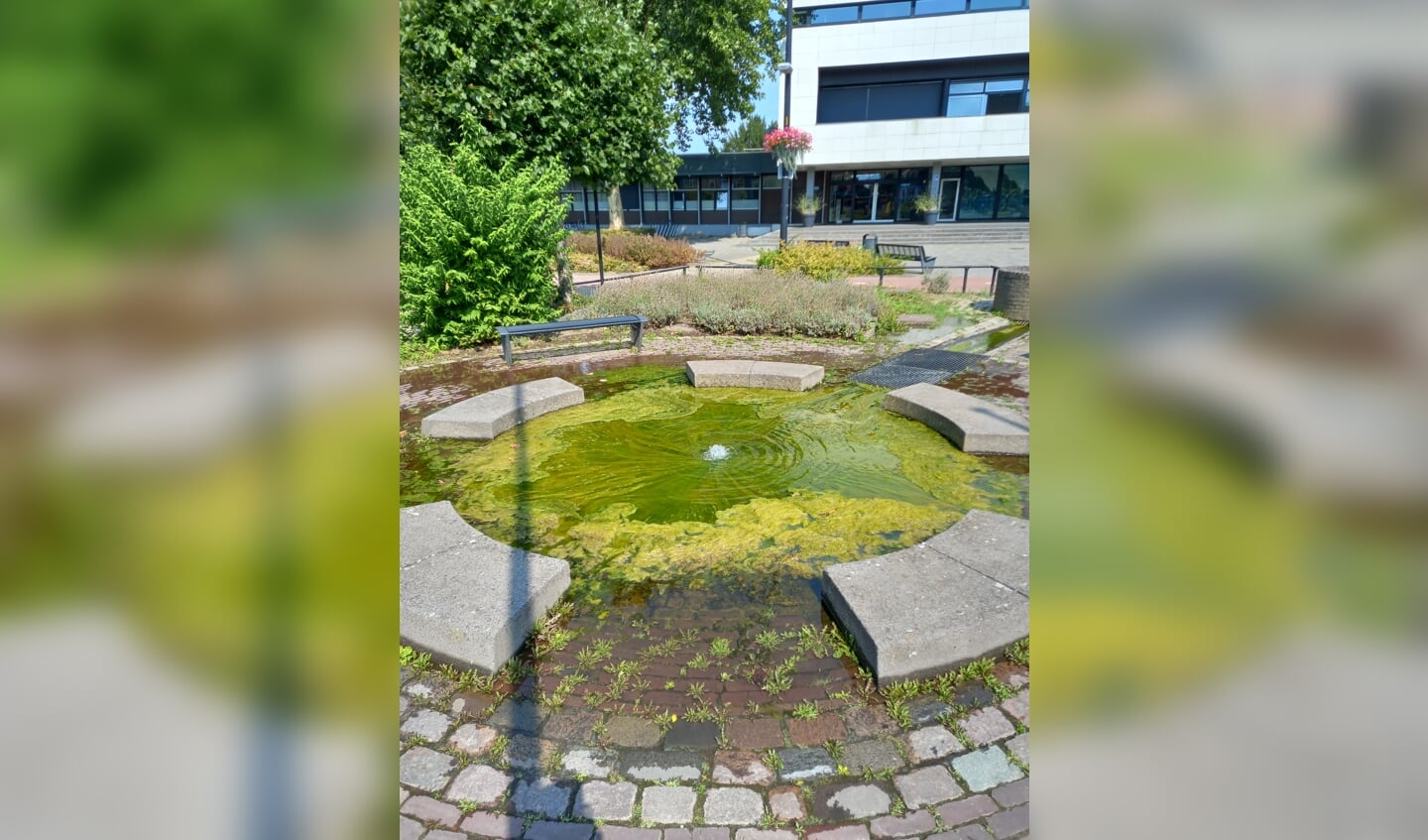 Door overmatige algenvorming treedt de waterpartij voor het gemeentehuis van Druten buiten de 