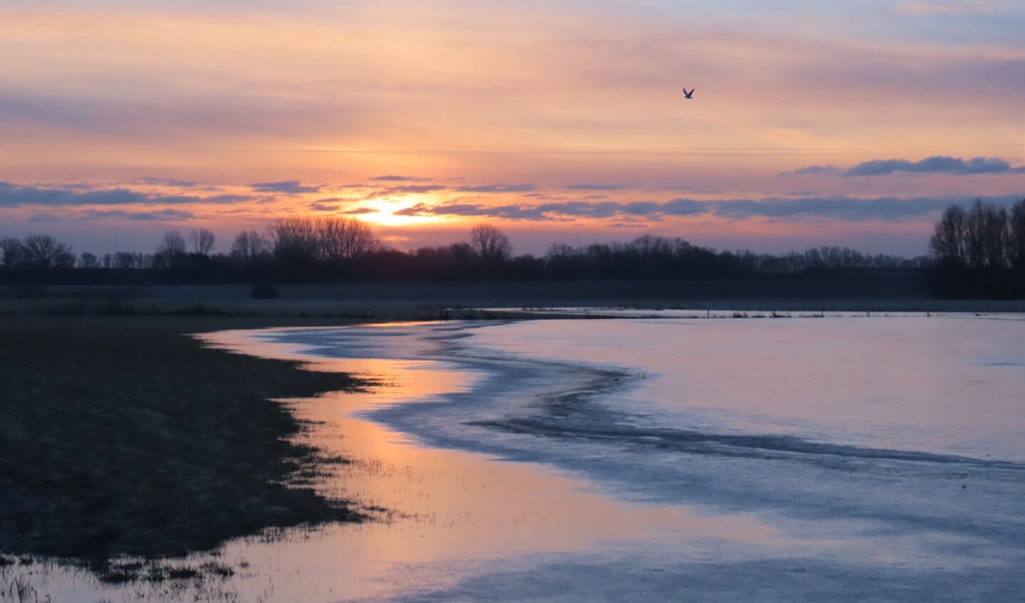 de dag begon met een mooie zonsopkomst en dat bij hoog water in de uiterwaarden tussen Ewijk en Winssen in