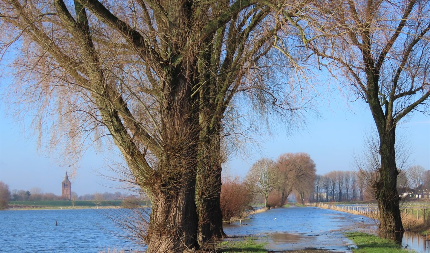 de weg naar Winssen staat voor een deel onder water