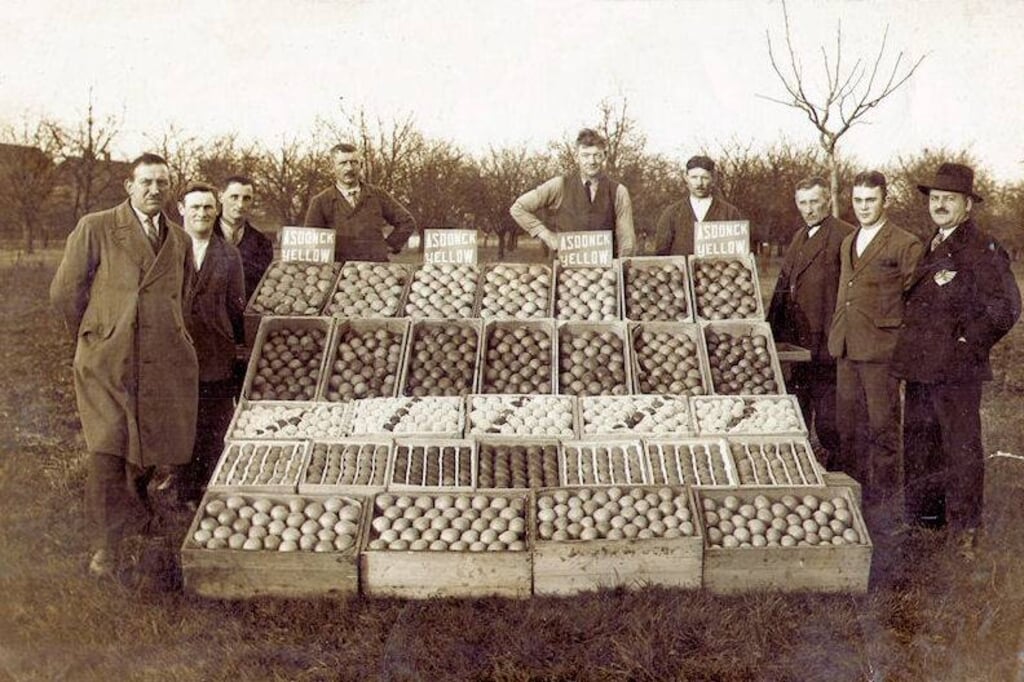 Foto rond 1930 genomen op het Asdonck terrein van de vruchtenconservenfabriek. Ze hadden ook een eigen appelras: Asdonck Yellow.