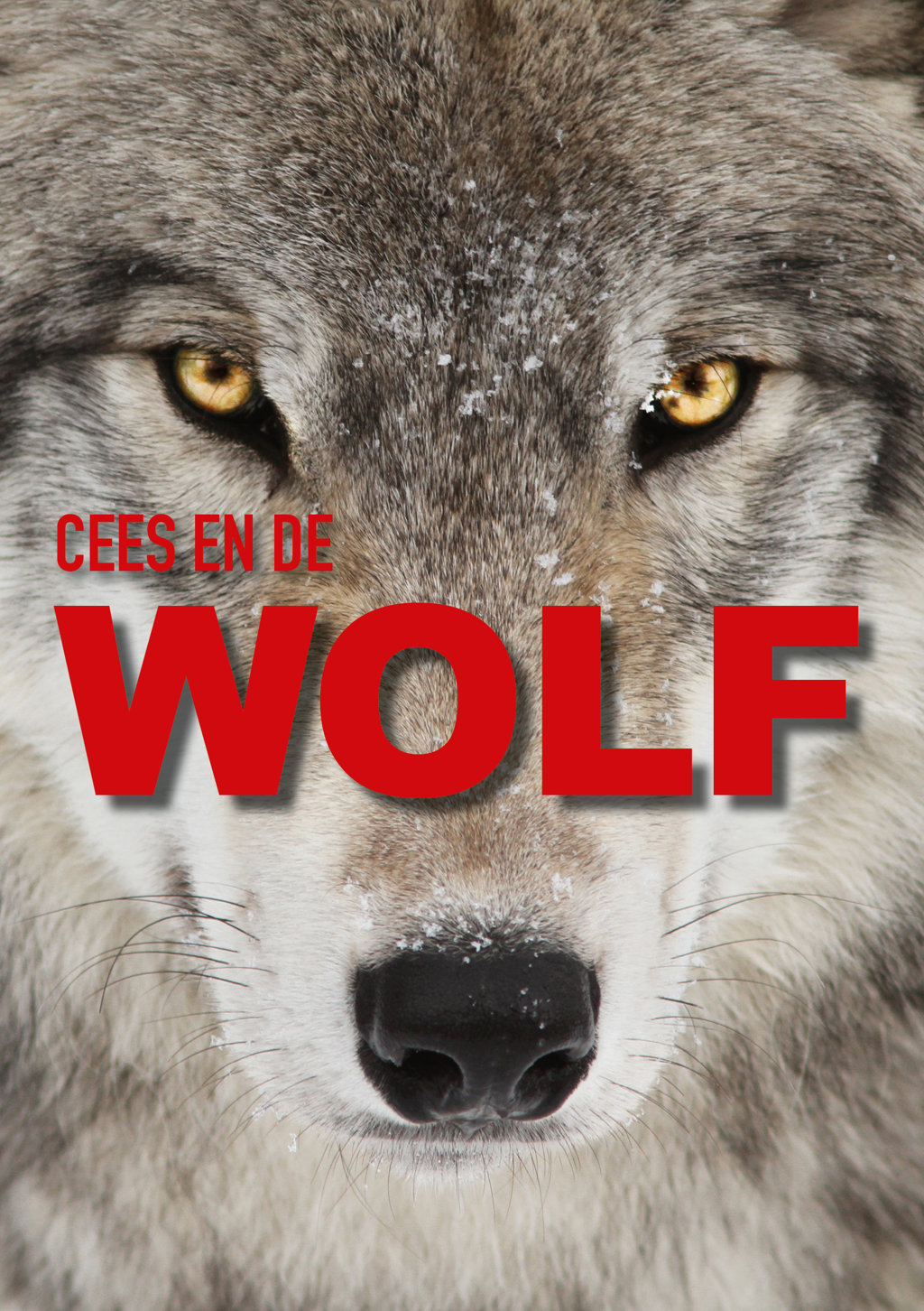 Cees van Kempen - Wolf