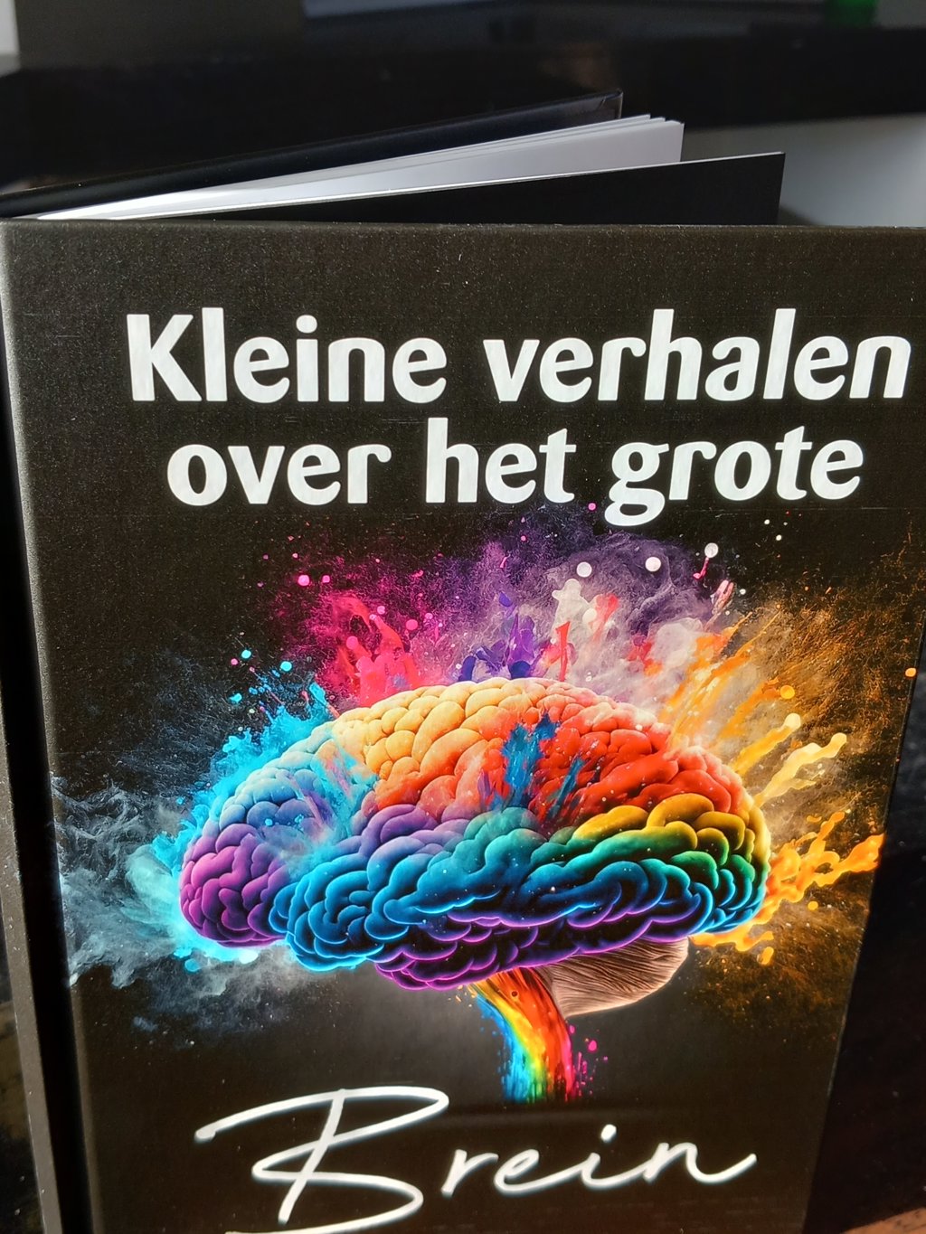 boek 'kleine verhalen over het grote brein'.