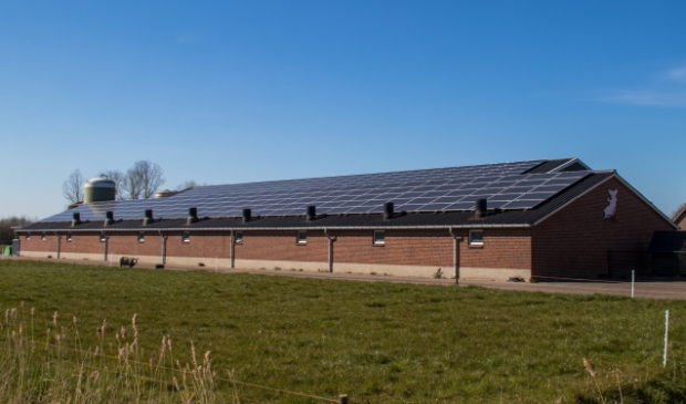 <p>Zonnepanelen op een stal aan de Olieëindsestraat</p>