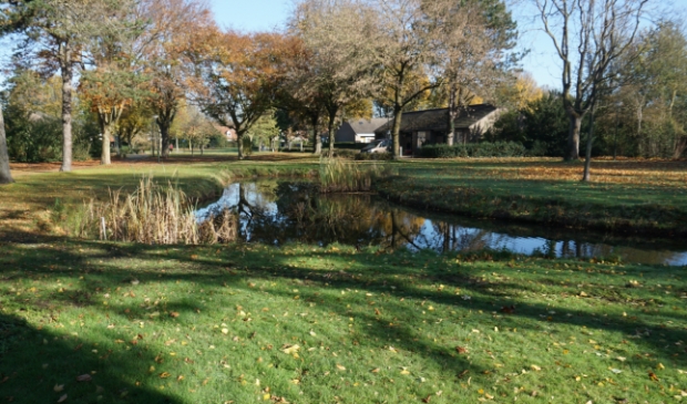 <p>Vijver Jansenpark</p>