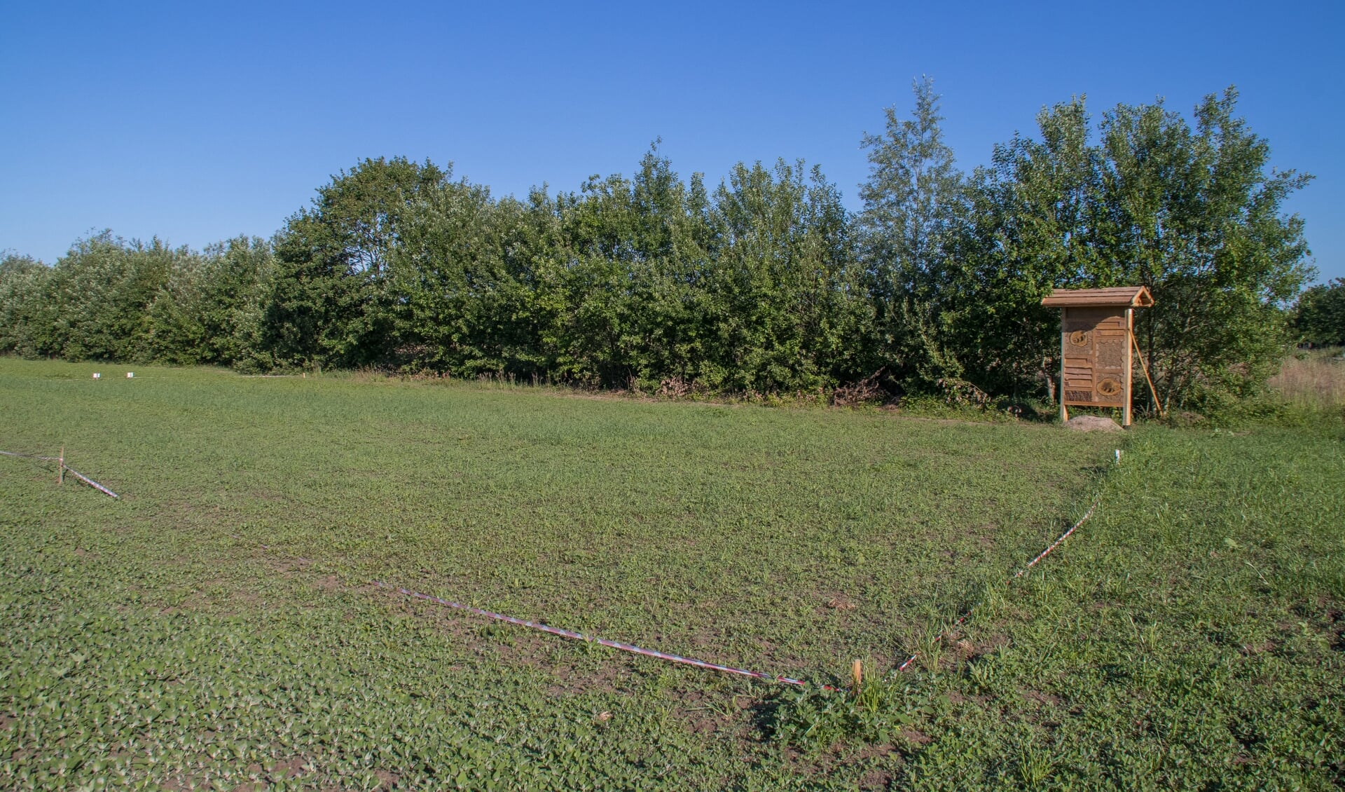 Ingezaaid veld met een bijenhotel