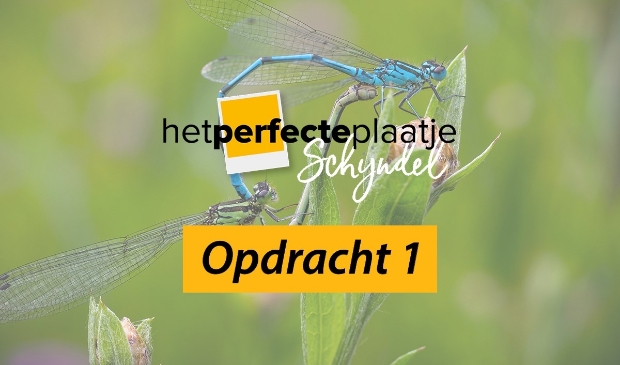 <p>Het Perfecte Plaatje Schijndel Opdracht 1</p>