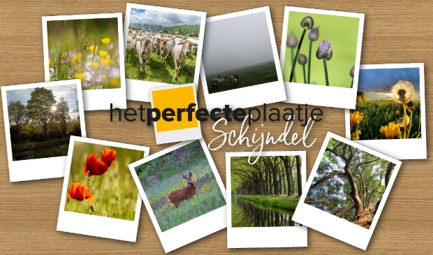 <p>Het perfecte plaatje opdracht 1</p>