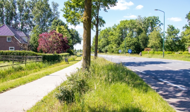 Slecht zicht bij de oversteekplaats Eerdsebaan / Hoeves waar al meerdere ongevallen plaatsvonden.