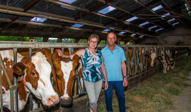 <p>Petra en Ad van de Meerakker in de stal bij hun geliefde koeien.</p>