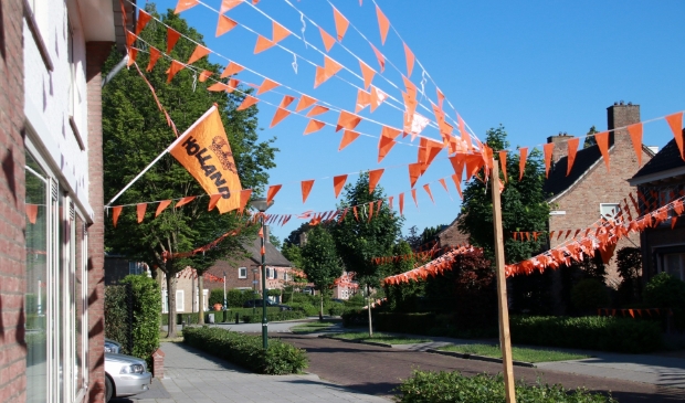 <p>Oranje versieringen in de Harry Bolsiuslaan in Schijndel</p>