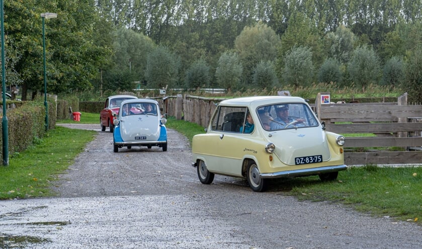 Dwergauto's bij de Schaapskooi