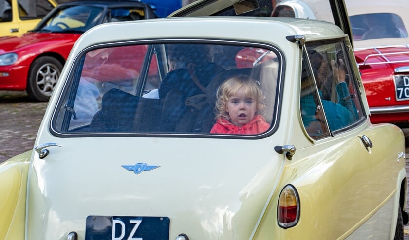 Dwergauto's bij de Schaapskooi