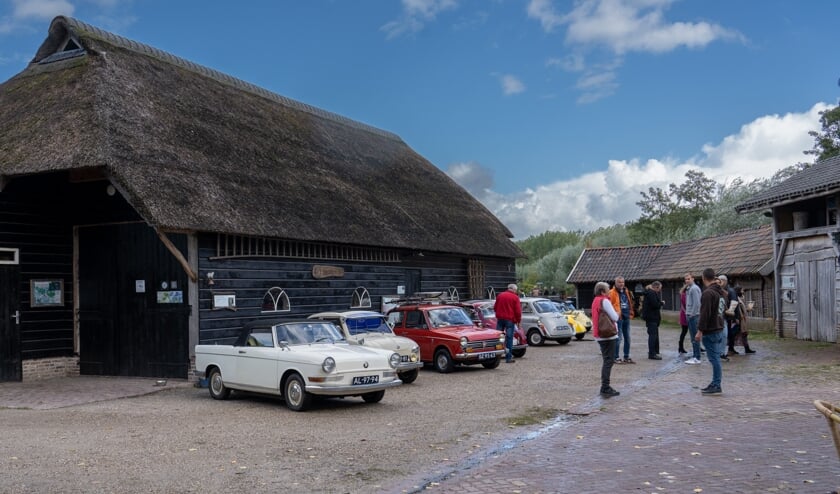 Dwergauto's bij de Schaapskooi