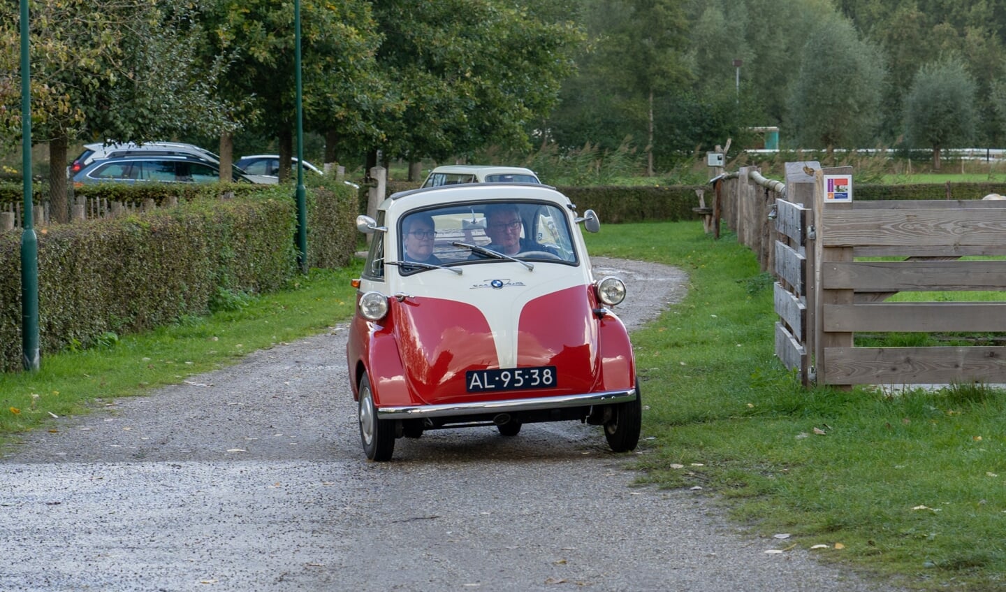 Dwergauto's bij de Schaapskooi