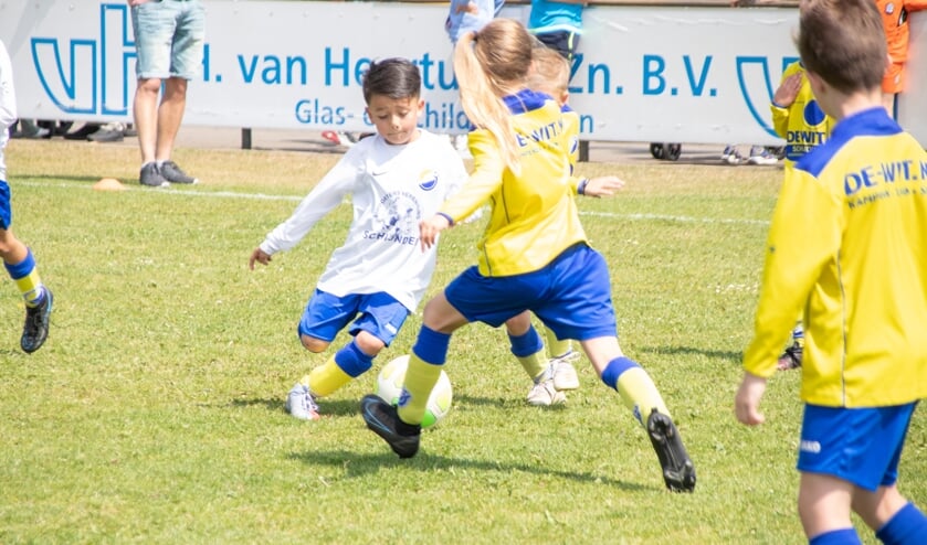Afbeelding