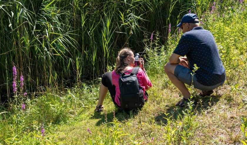 Excursie natuurfotografie in heempark de Blekert.