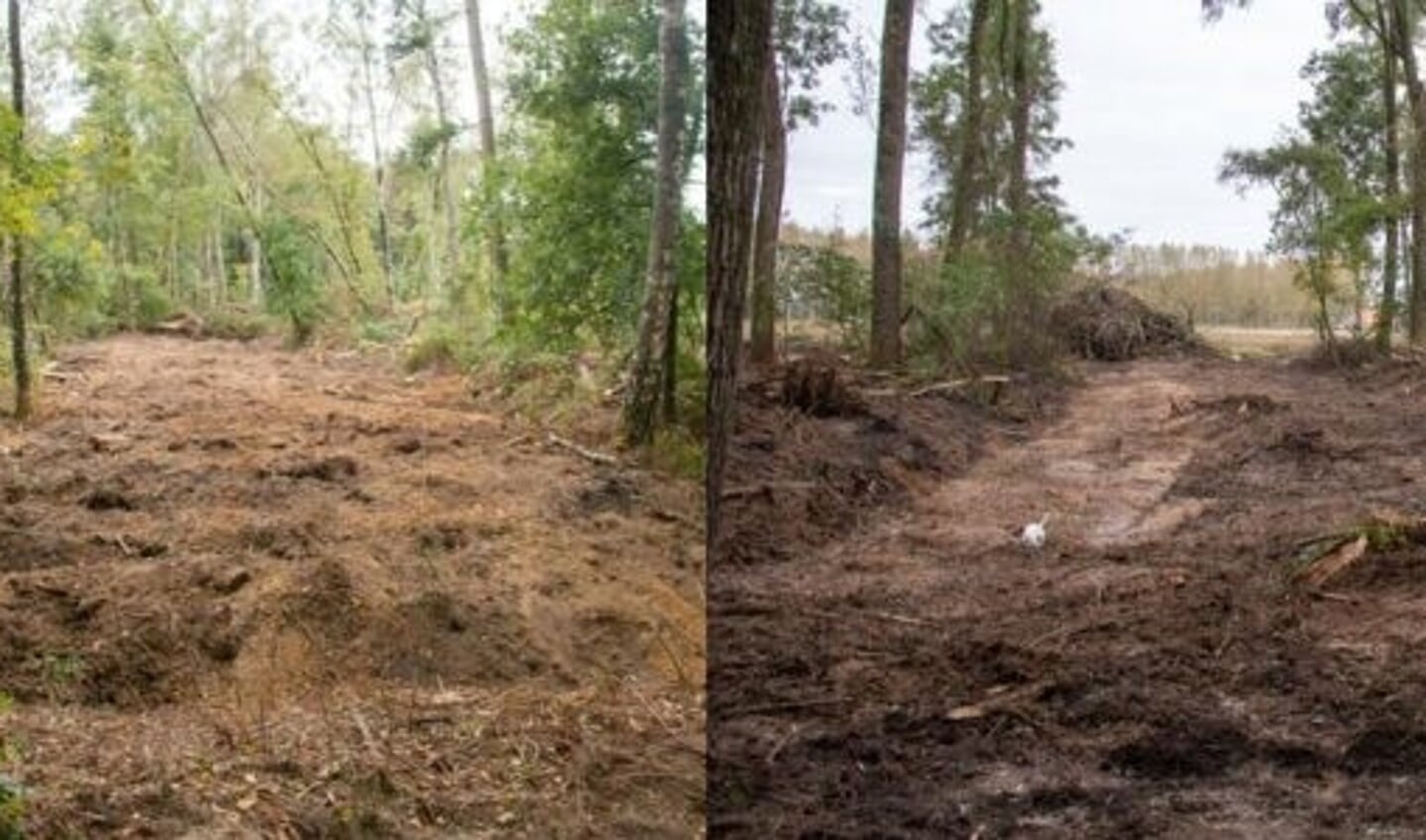 Door de rabatten te verwijderen en het oorspronkelijke reliëf te herstellen blijft het water beter behouden in het gebied.