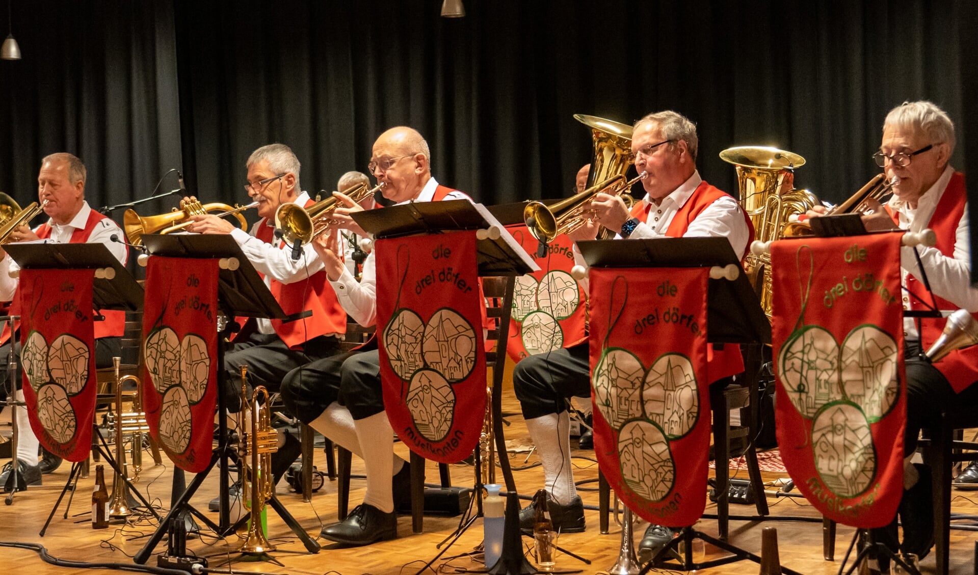 Drei Dörfer Musikanten nieuwjaarsconcert in de Vink