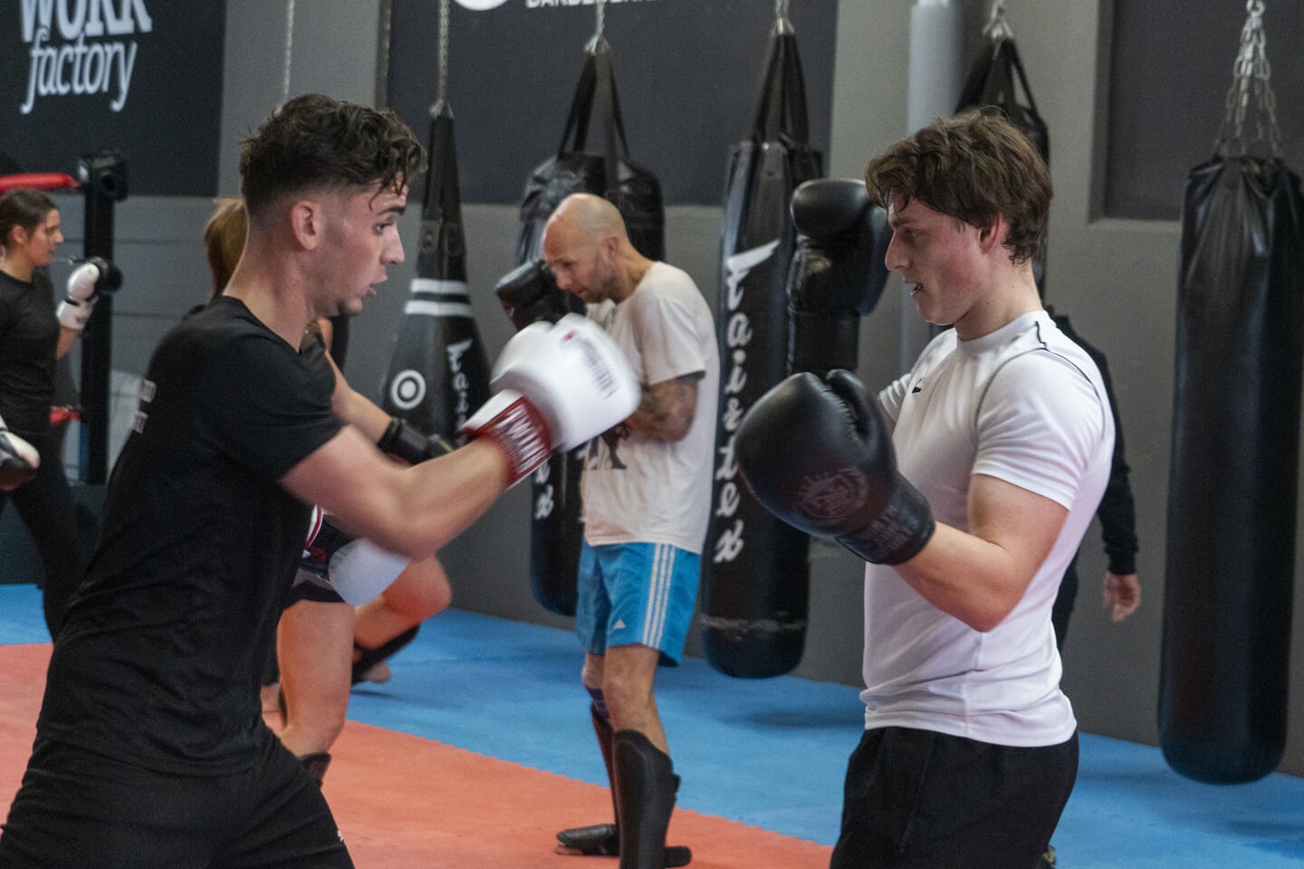 Twee Schijndelse Mannen Stappen De Kickboxring In - Al Het Nieuws Uit ...