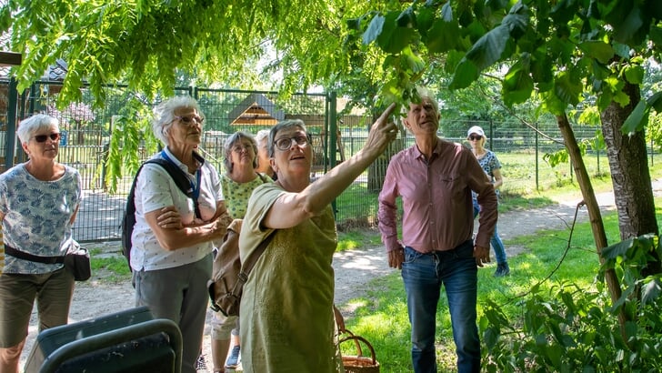 Wildplukwandeling in Wijk Plein
