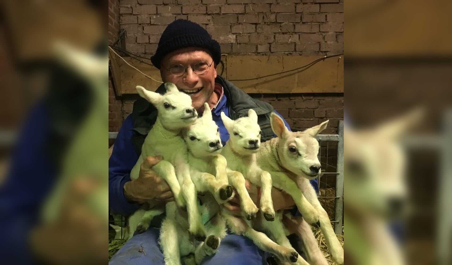Als gepassioneerd hobby-schapenhouder was René de Theije supertrots toen er in maart 2022 een gezonde vierling Texelse lammeren in zijn stal aan de Boswijkdreef werd geboren.