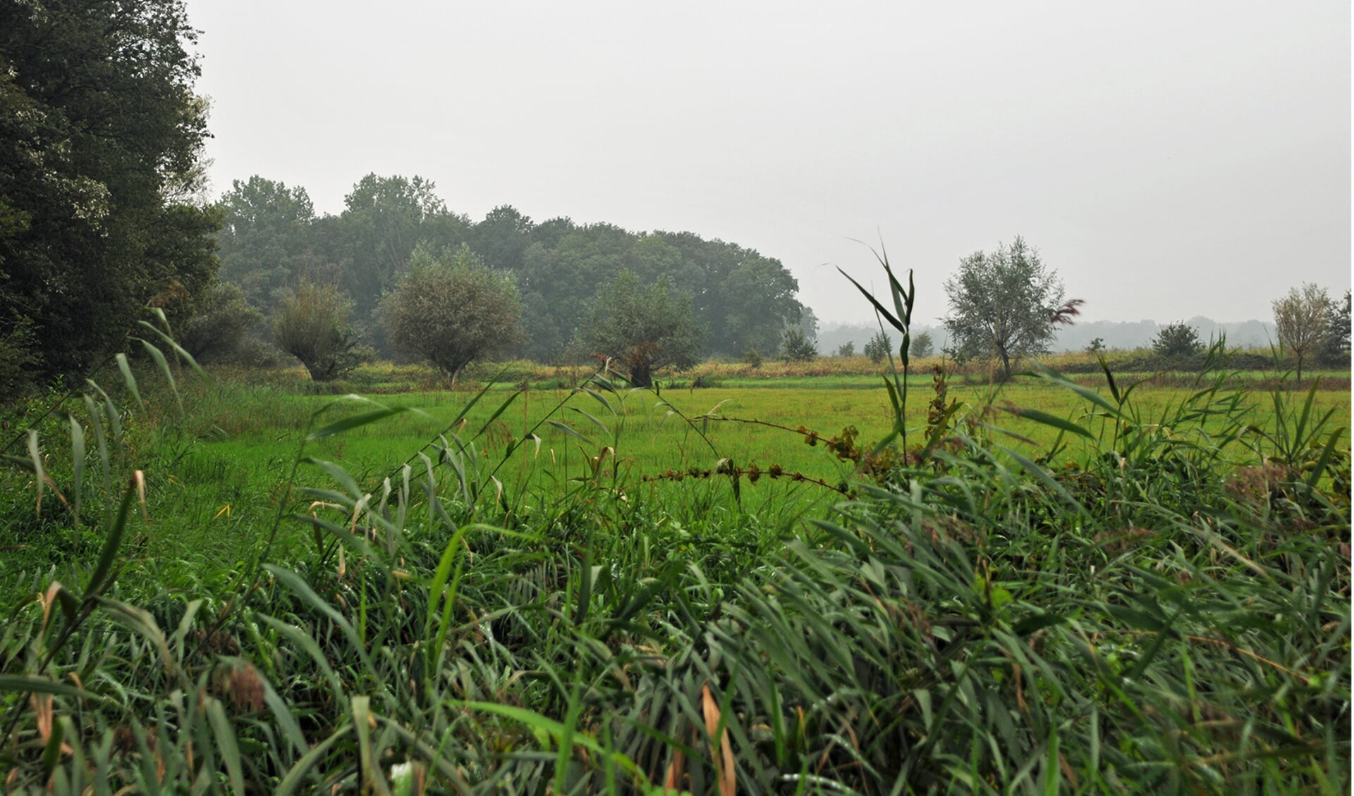 Natuurgebied Oudland op de ‘Naad van Brabant’. Foto: Jos van Loon