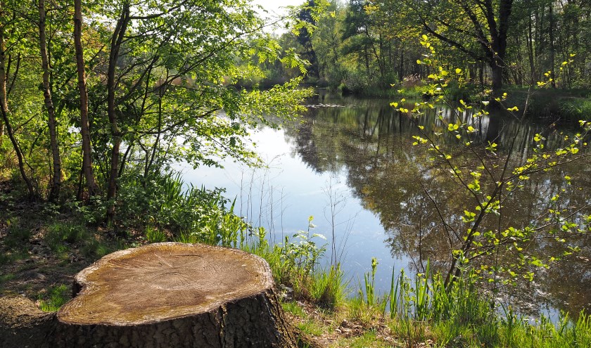 Vijver domein De Bever