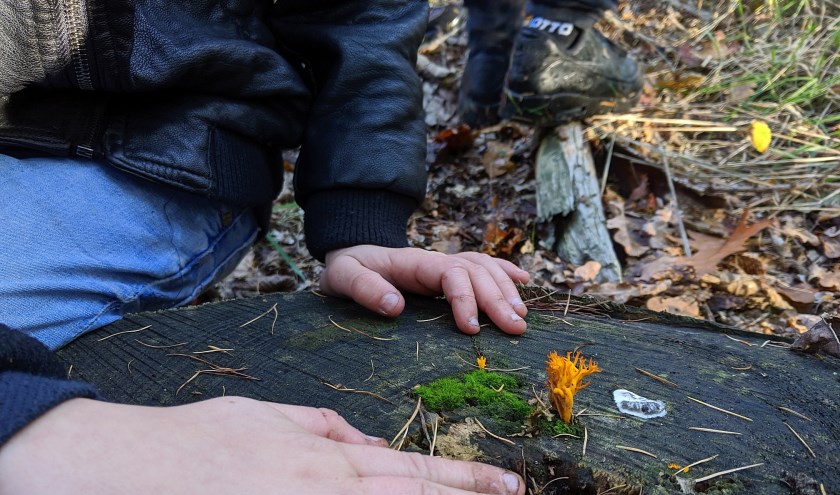 Herfst IVN 2019, foto: Wiel Zentjens