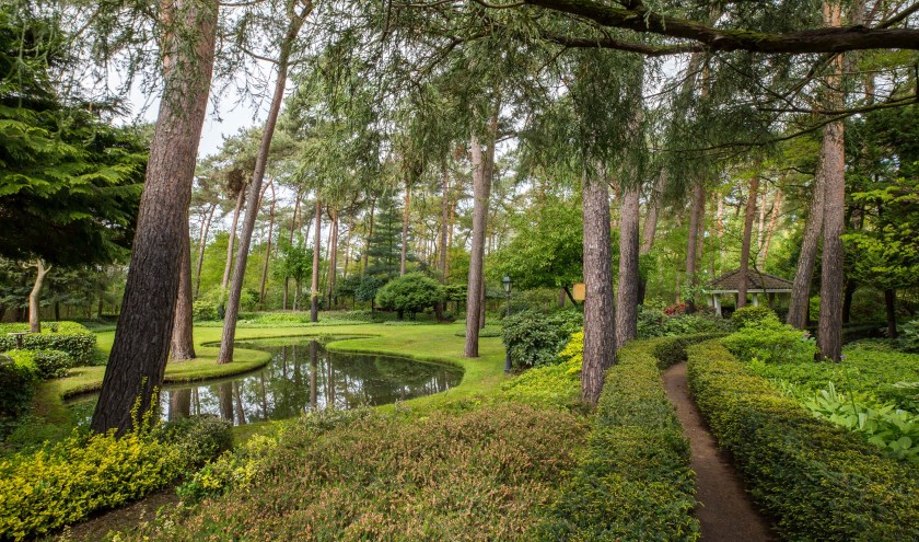 Tuin in het bos