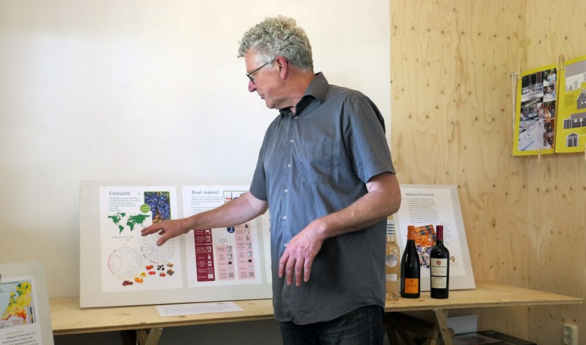 Lezing wijndruif grenache. FOTO DINEKE MANSHANDEN