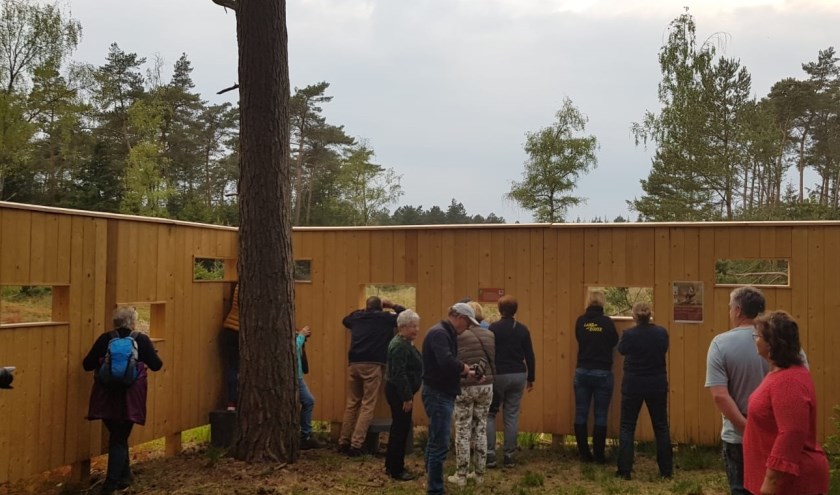Wildkijkscherm in het Leenderbos, foto: Erik Schram