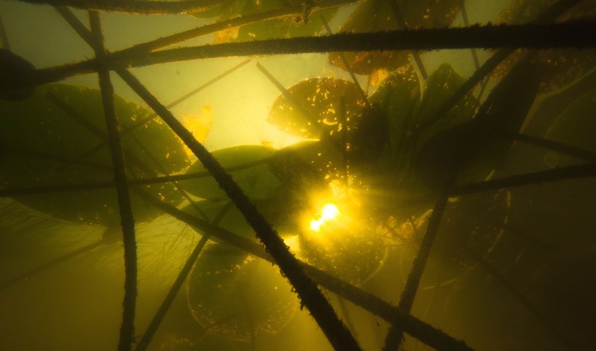 Foto: Ruben Smit, natuurmonumenten