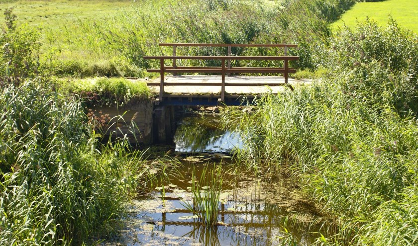 Kleine Dommel
