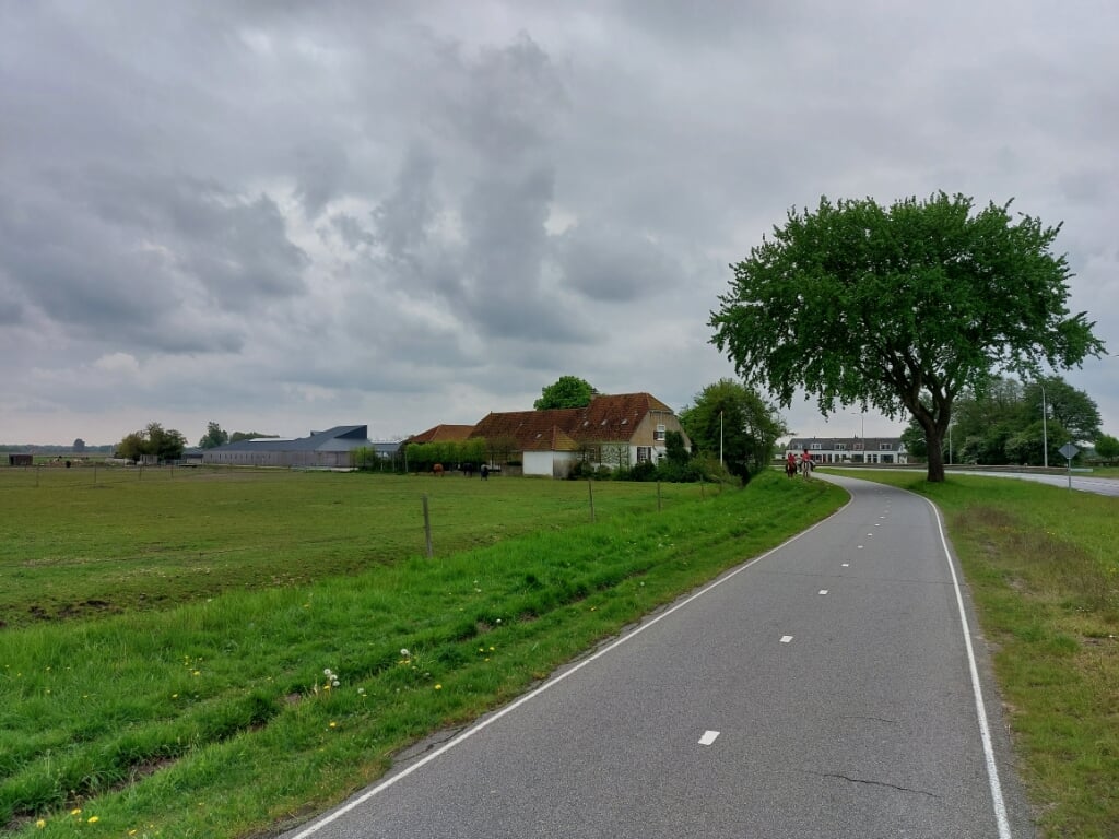 Links een deel van de toekomstige locatie van de Valkenburgse volkstuinders langs de N441.