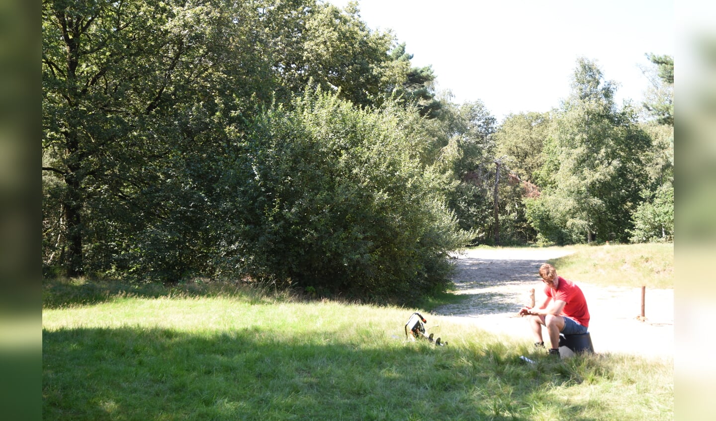 Afbeelding