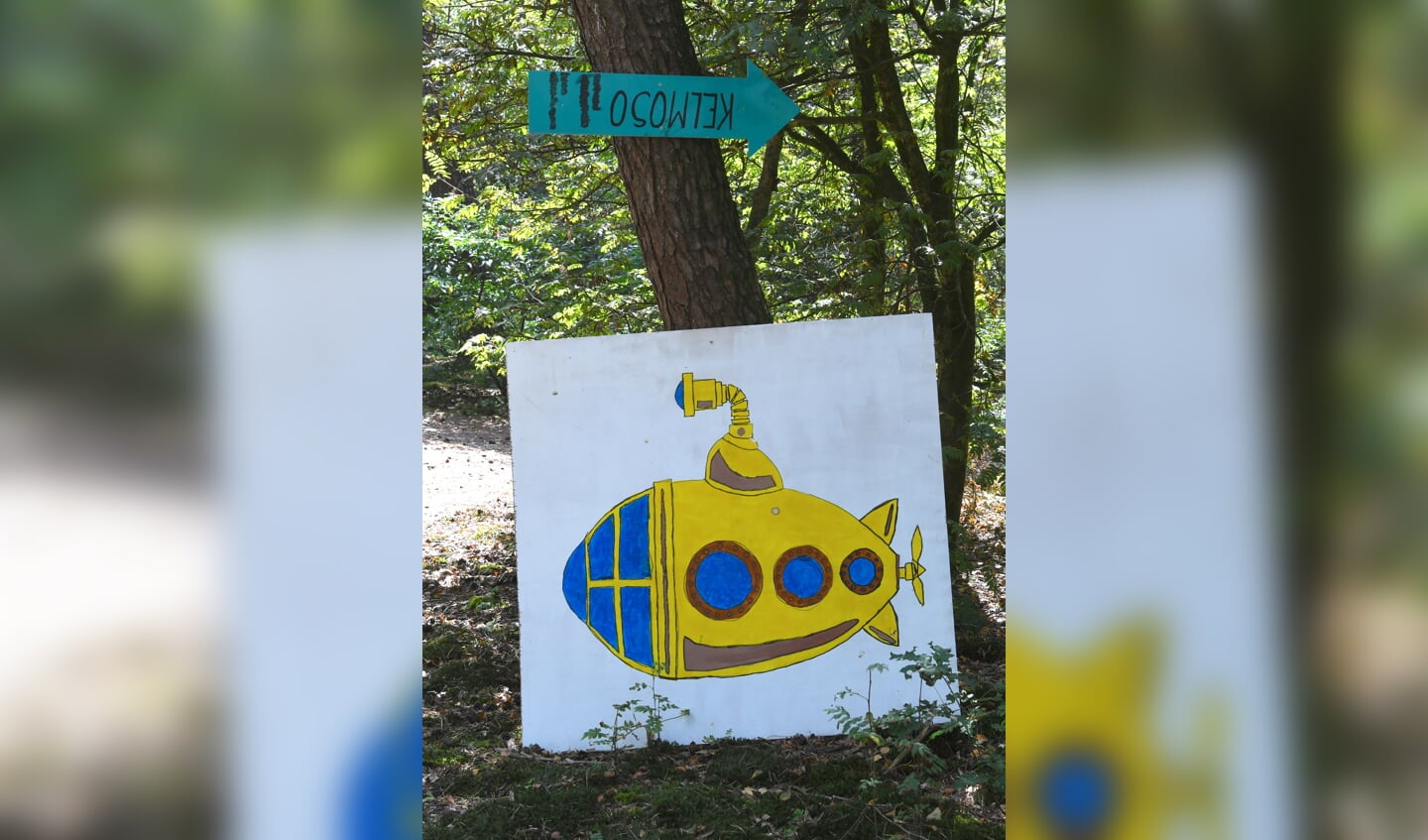 Afbeelding