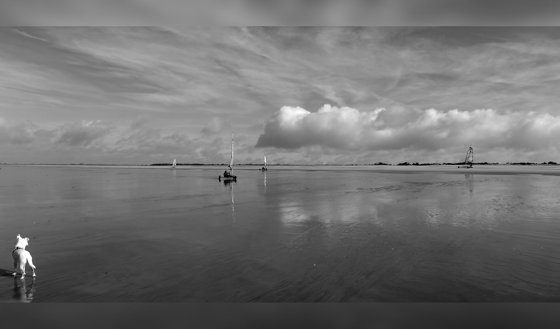 Hond Bliks kijkt naar strandzeilers aan de Atlantische kust. Foto gemaakt in zwart-wit  met een Leica compactcamera, 35 mm.