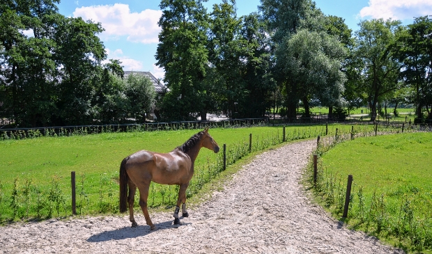 Landgoed Slichtenhorst