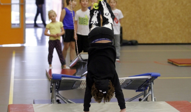 <p>MQ scan vallen en duikelen.</p>