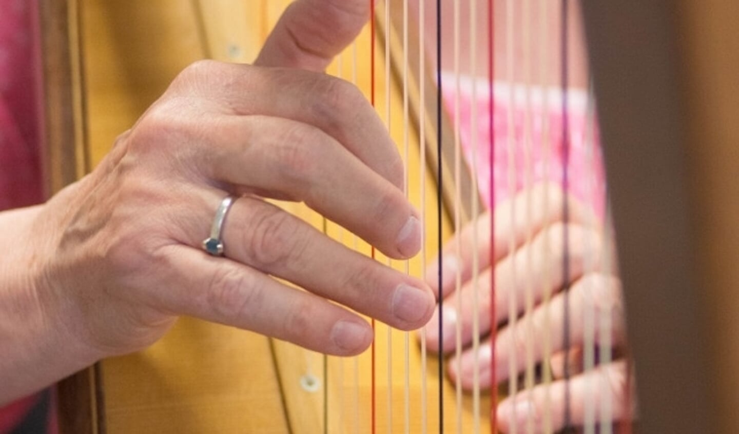 Harples op de muziekschool