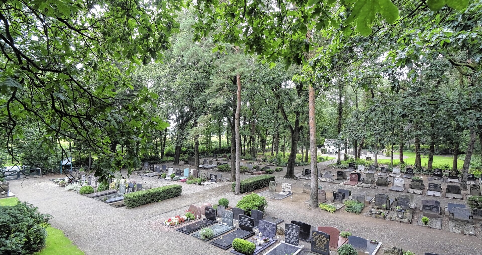 Archieffoto van de begraafplaats in Kootwijk.