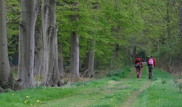 De Ridderoordse bossen. 'We beschermen natuur en erfgoed voor de eeuwigheid'. Foto: Renk Ruiter
