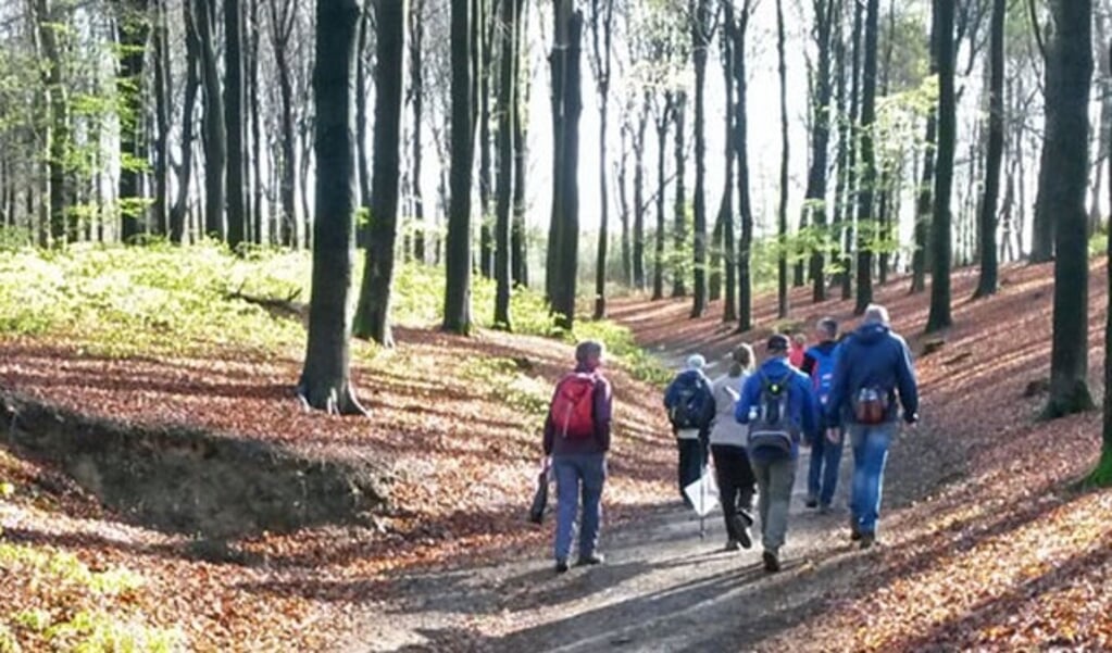 De Veenendaalse wandelvereniging WS78 houdt zaterdag 25 november een wandeltocht van 20 en 40 kilometer. (Foto: PR)