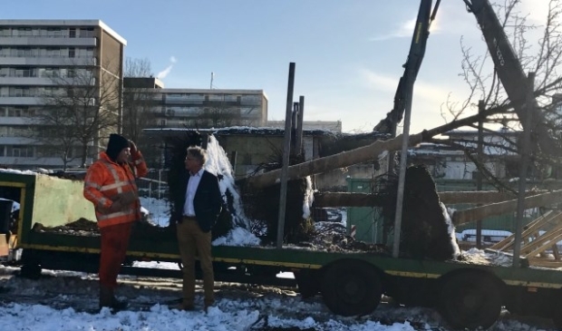 Een aantal bomen die op het grasveld naast De Kwinkelier stonden, verplaatst naar het nog aan te leggen parkeerterrein.