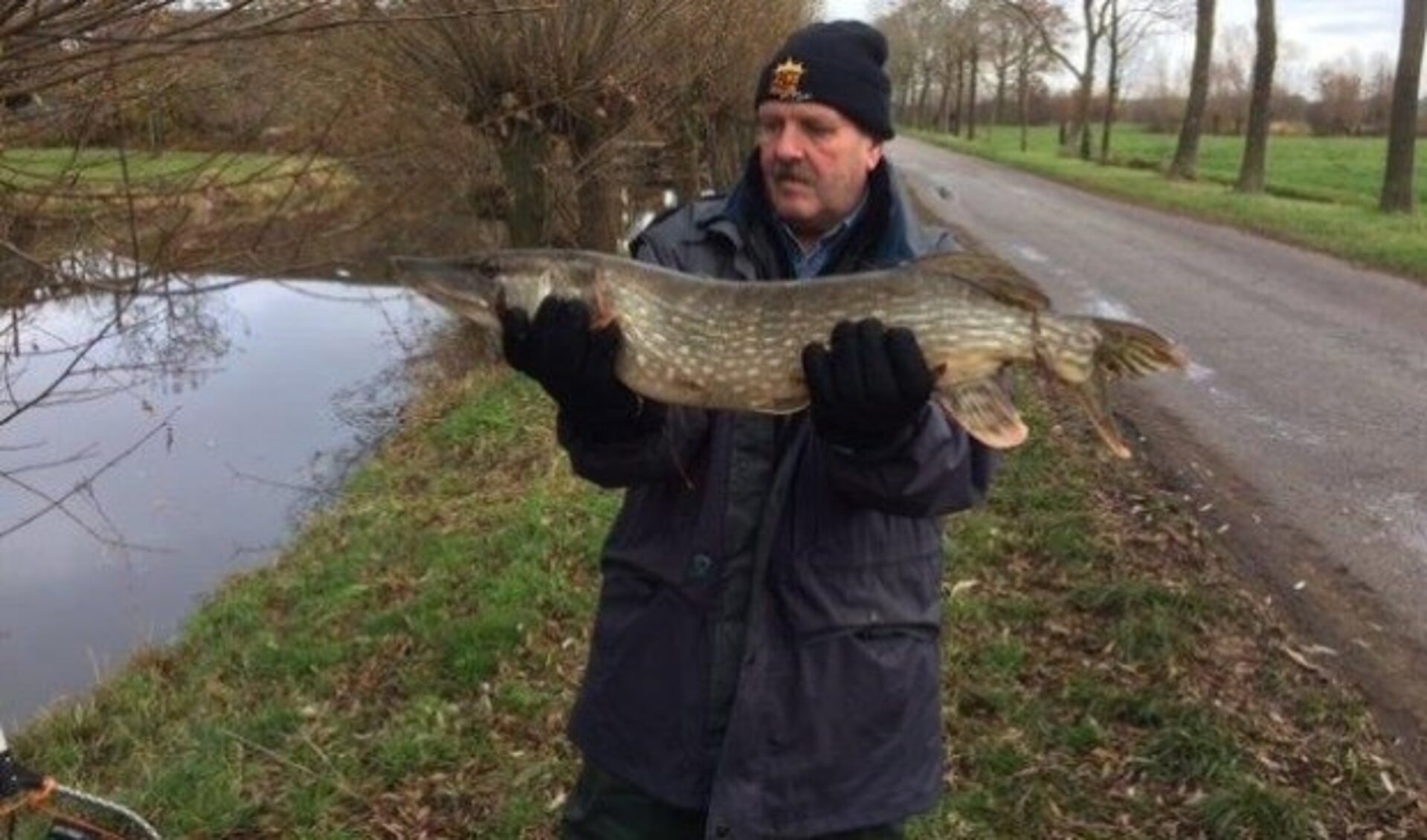 Halen de Zeister Hengelaars zondag ook zulke vissen uit het water?